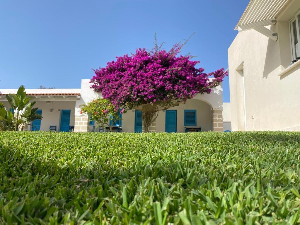 Antichi Mulini Hotel Favignana Exterior foto